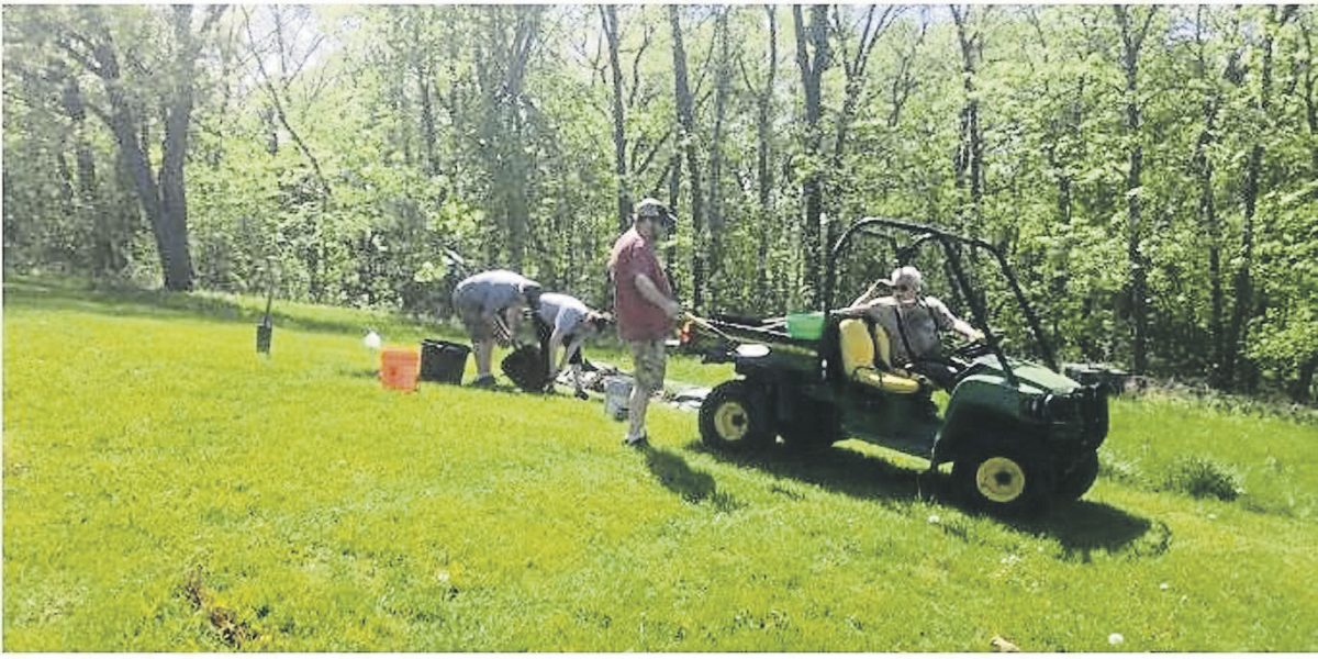 Tree Planting