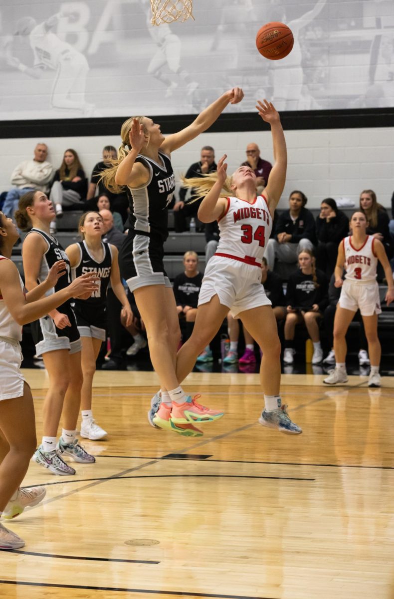 Mount Vernon’s Chloe Meester (No. 20) tries to snap the ball away from an Estherville-Lincoln Central player Saturday, Nov. 30.