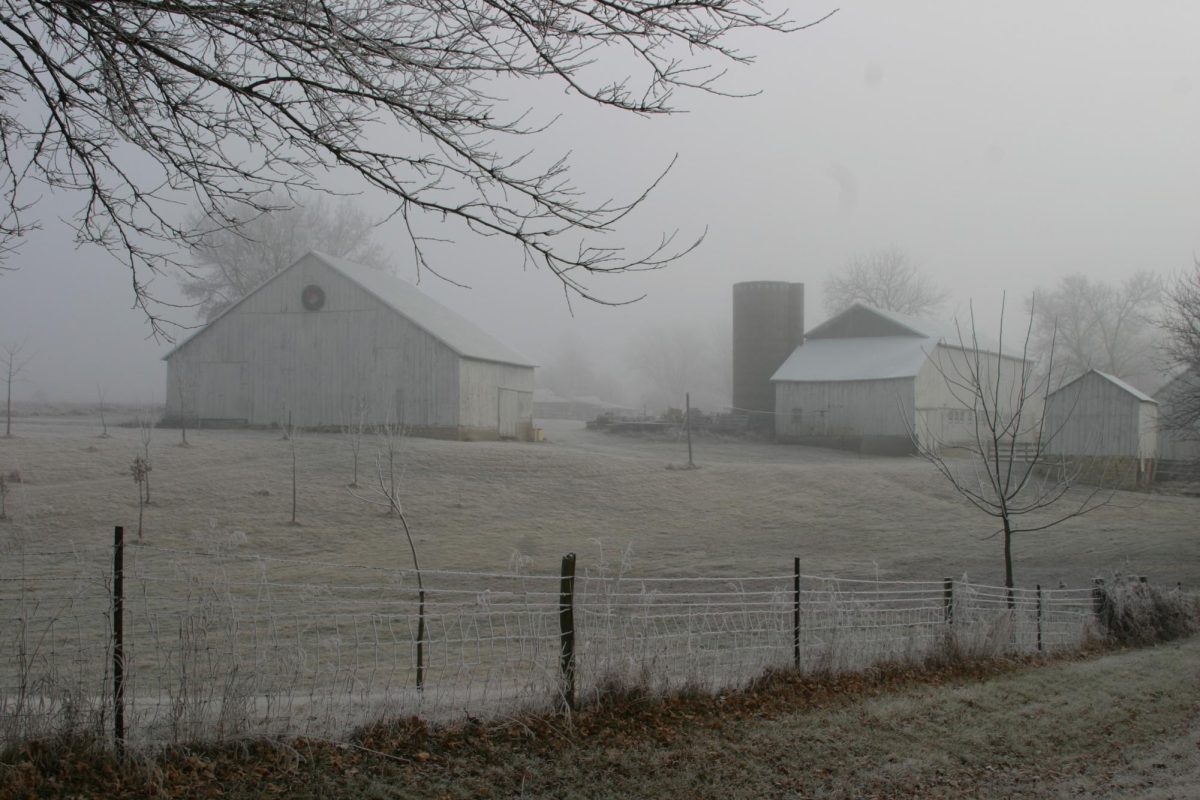 A photo of the barns at Pleasant Grove Heritage Park in Lisbon. The park is now being managed by a non-profit whose mission is to preserve and develop the site. 