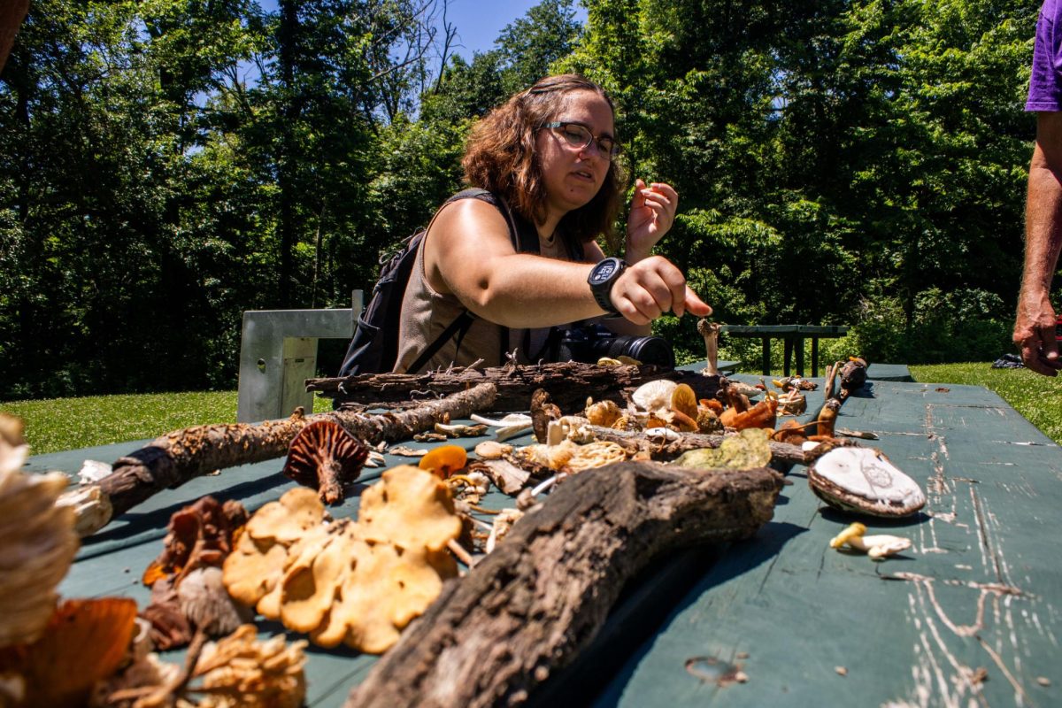 President Sarah DeLong-Duhon looks over the club’s new findings after a mushroom foray led by the Prairie States Mushroom Club at Palisades-Kepler State Park on Saturday, June 20, 2026.